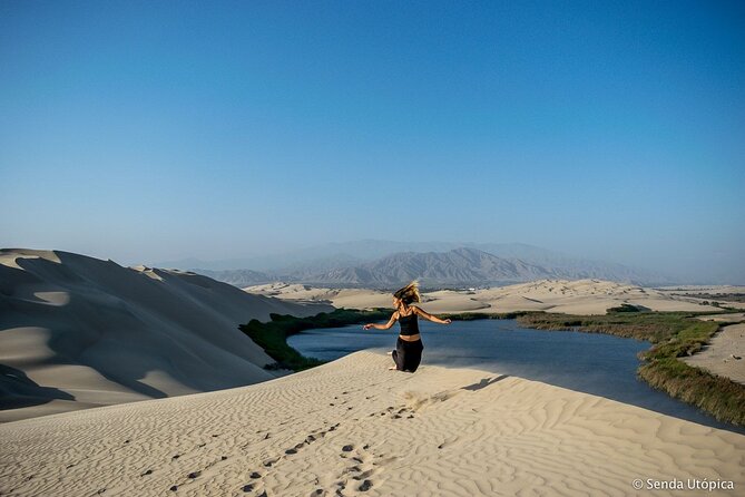 6-Hour Moron Lagoon Desert Guided Tour From Ica - Pricing and Booking