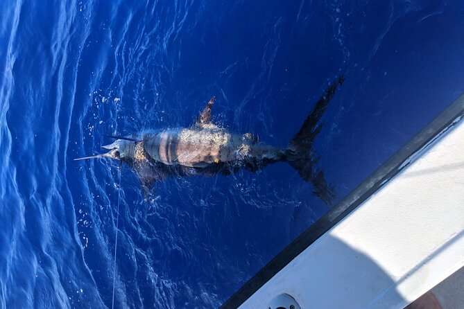 6 Hour Private Fishing Charter Kona, Hawaii - Health and Safety Guidelines