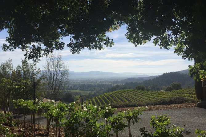 6-Hour Private Wine Country Tour of Napa Valley (Up to 6 People) in Large SUV - Operating Hours and Availability