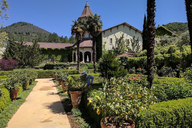 6 Hour Private Wine Country Tour (Sedan, SUV or Limo) - Guest Feedback
