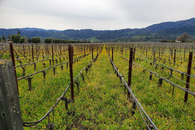 6-Hour Sparkling Wine Tour of Napa Valley - Booking and Confirmation