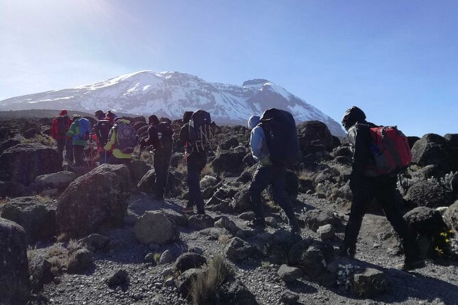 7 Day Kilimanjaro Treks via Machame Route + 2 Nights Hotel Stay - Booking Information and Policies