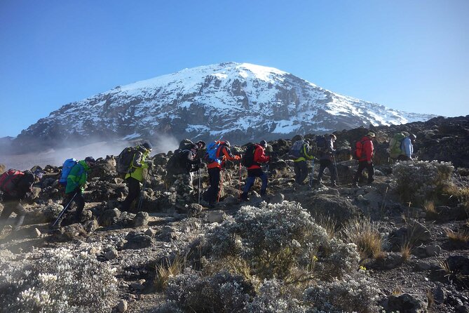7-Day Mt. Kilimanjaro Hiking: Machame Route - Hiking Difficulty and Fitness Level