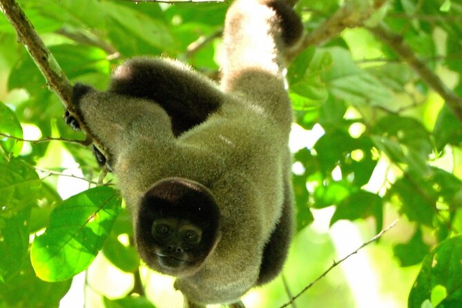 7 Days and 6 Nights Private Tour Manu National Park in Cusco - Transportation and Logistics