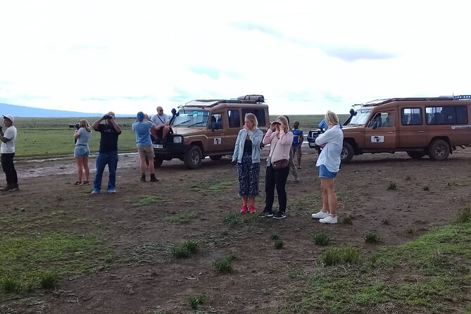 7 Days Tanzania Mid-Range Lodge Safari - Accessibility Features