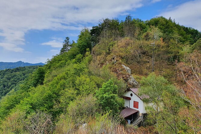 7-Hour Private Tour to Bran Castle From Bucharest - Cancellation and Booking Policy