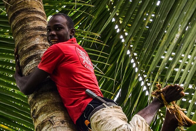 7-Hour Zanzibar Private Spice and Stonetown Tours (Include Lunch) - Reviews Summary