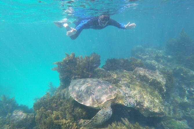 8-Day Galapagos Multisport: San Cristobal, Isabela and Santa Cruz - Meals and Accommodations