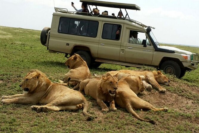 8 Day Private Wildebeest Migration Safari Serengeti Ngorongoro - Inclusions and Exclusions