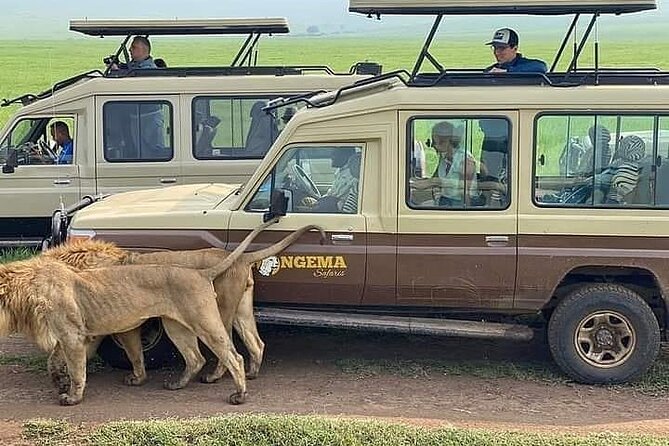 8 Days Follow the Wildebeest Migration River Crossing Safari - Meeting and Pickup Details