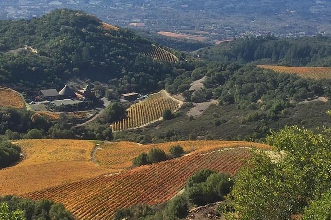 8-Hour Private Wine Tour Experience for up to 6 Guests - San Francisco to Sonoma - Accessibility Features