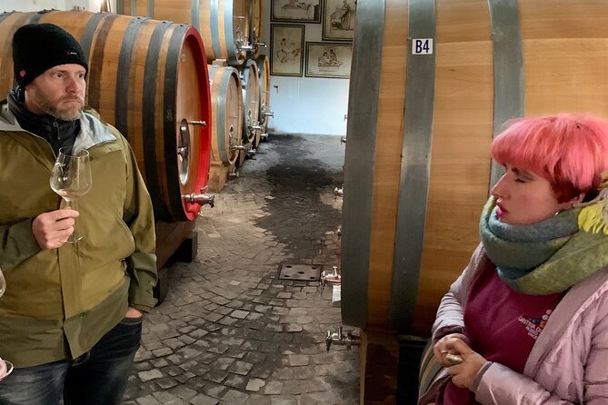 8h Pompeii Vesuvius Wine Farm Tour - Accessibility
