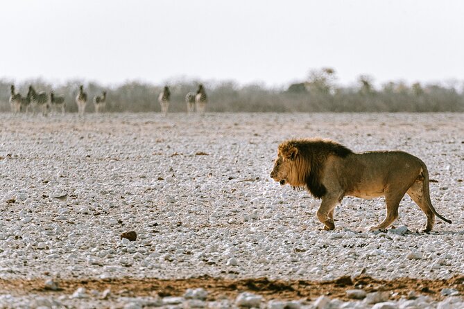 9 Day Canyons, Dunes & Wildlife Camping and Lodge Safari - Health and Safety