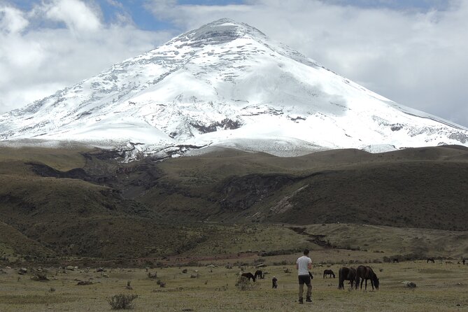 9-Days Exploring the Andes - Final Verdict On This Stay