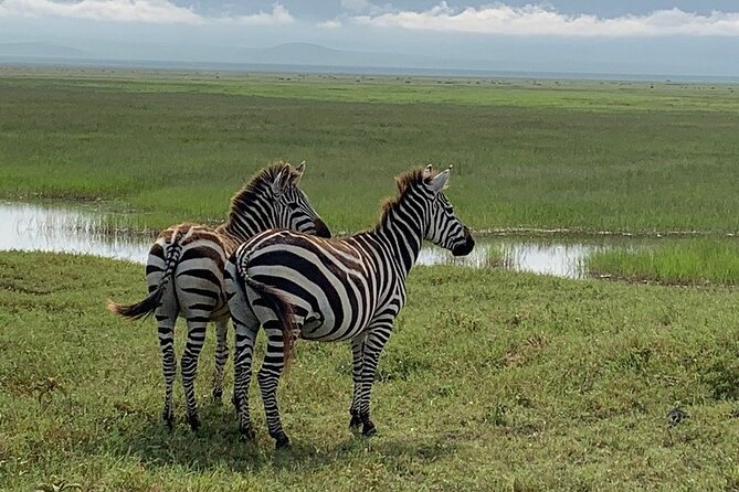 9-Days High End Road and Air Kenya Safari - Health and Safety Guidelines