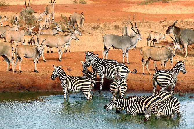 9 Days Kenya Classic Lodge Safari - Meal Plans