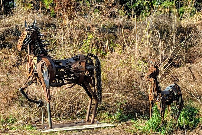A City in a Forest: Private Atlanta Nature Tour - Tour Provider and Booking