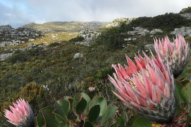 A Classic ! India Venster Hike - What Travelers Are Saying