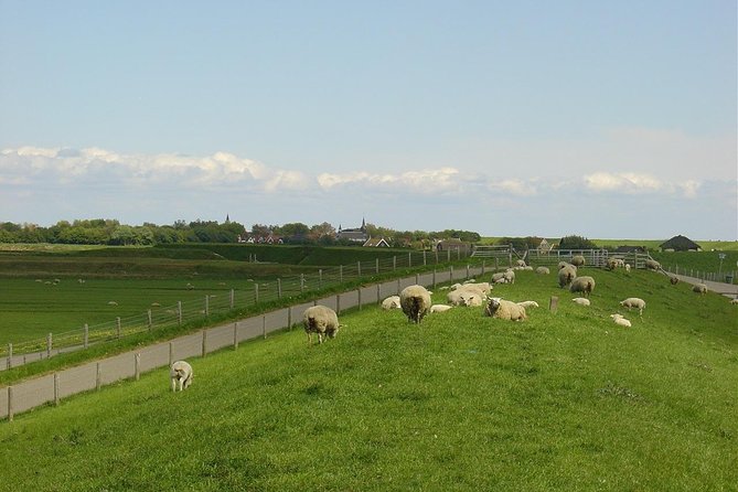 A Day of Solex Riding on Texel - Practical Considerations for the Tour