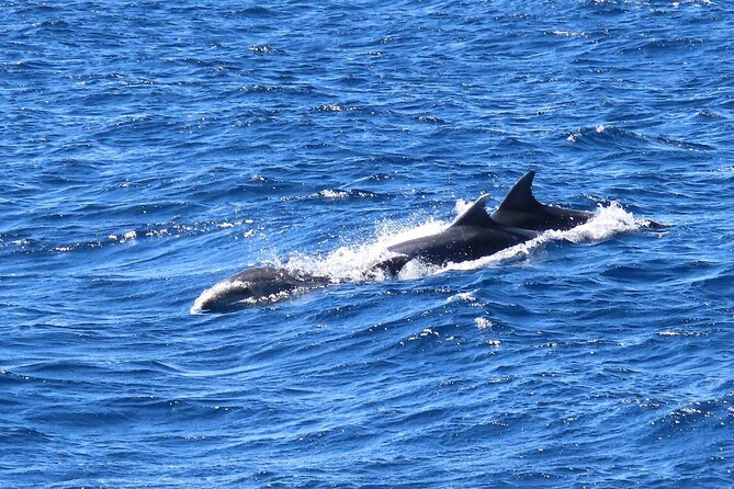 A Days 3-Island Cruise Tour With Transfer - Cruise Highlights