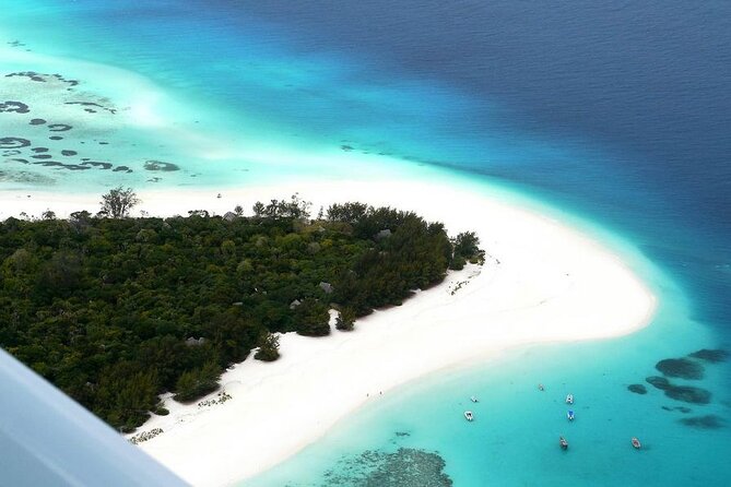 A Half Day Private Dolphins And Snorkeling Tour To Mnemba Island - Booking Information