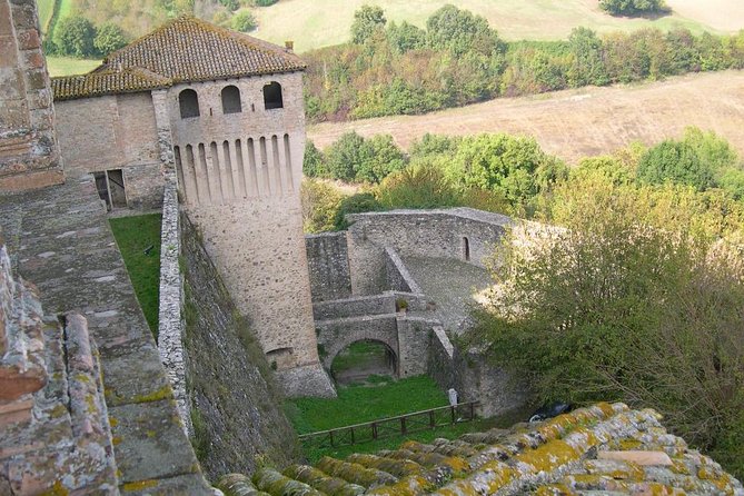A Love and Wine Story in Parma Valley - Highlights of the Private Tour