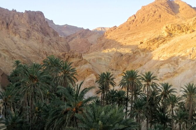 A Private Night at Desert Douz Tozeur - Accessibility and Special Accommodations