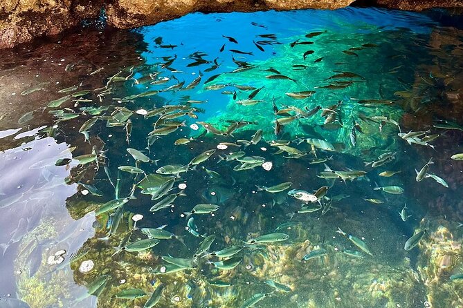A Relaxing Private Corfu Sea Tour for Cruise Passengers - Accessibility and Accommodations