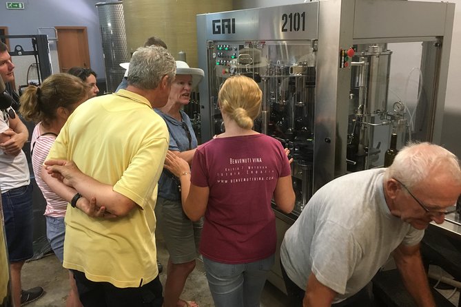 A Sample Of Wine, A Sample Of Istria - A Short But Fulfilled Program - Health and Safety Considerations