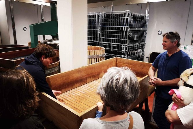 Abruzzo Wine Tasting & Winery Visit - Accessibility and Additional Details