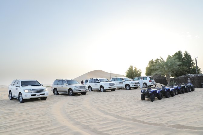 Abu Dhabi City Tour and Desert Safari - Inclusions for a Memorable Experience