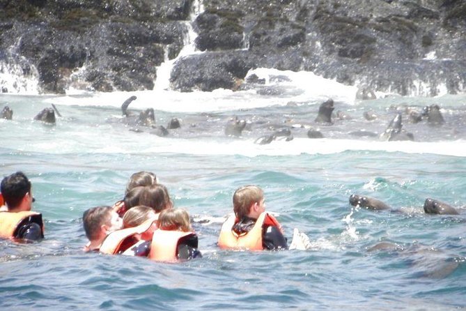 Adventure and Adrenaline, Swimming With SEA LIONS! & Visit the Peruvian Islands! - Health and Safety Considerations