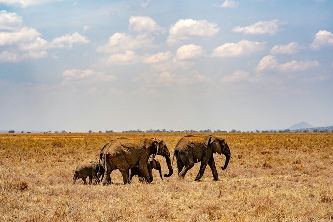 Affordable 4 Days Tanzania Private Mid-range Lodge Safari Tour - Itinerary at a Glance