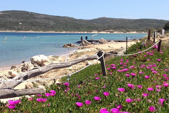 Afternoon Excursion (15: 00/19: 00) by Rubber Boat in the Archipelago of La Maddalena. - Booking and Cancellation Policy