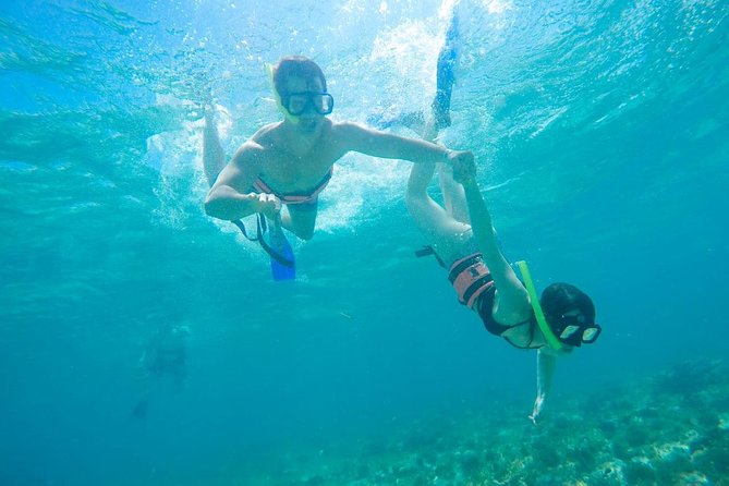 Afternoon Half-Day Catmaran Sailing and Snorkel Adventure - Guest Experiences and Feedback