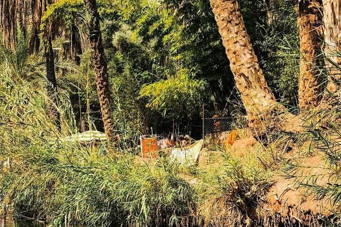 Agadir Day Trip to Paradis Valley & Atlas Mantains With Lunch - Hiking and Fitness Requirements