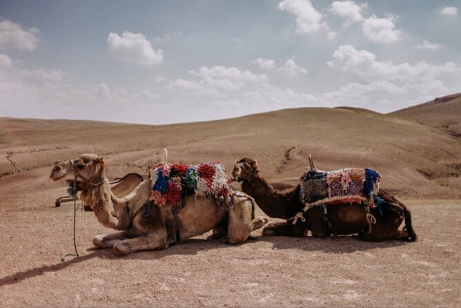 Agafay Desert Family Package: Quad Bike & Camel Ride, Dinner Show - Traditional Moroccan Dinner