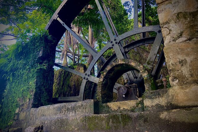 Airport Round-Trip Transfers To Negril From Sangster's International Airport - Transportation Options