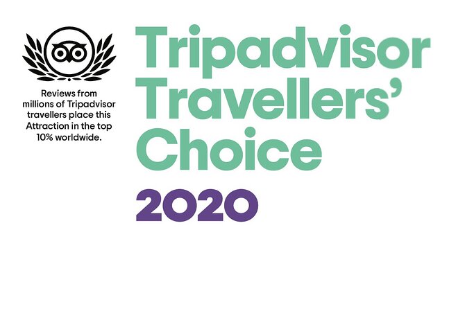 Airport Transfer - Cancellation Policy Details