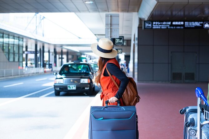 Airport Transfer to Hotels in Punta Cana - Pickup and Drop-off Process