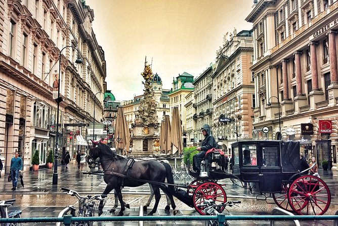 Airport Transfer: Vienna to Vienna Airport VIE by Luxury Car - Pickup and Drop-off Location