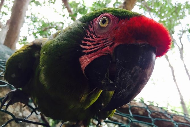 Akumal Monkey Sanctuary - Amenities and Policies