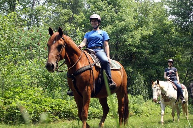 Alanya Horse Riding Experience With Free Hotel Transfer - Health and Safety Guidelines