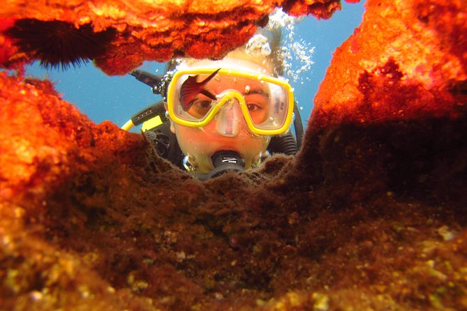Alanya: Scuba Diving Experience for Beginners - Booking Confirmation Information