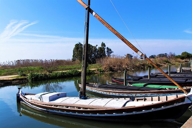 Albufera: Lake, Paella and Birdwatching - Birdwatching in the Wetlands