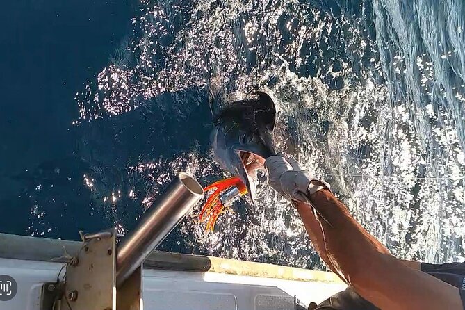 Alcántara Private Experience Charter Fishing/Walking - Accessibility
