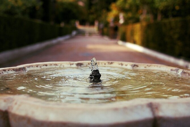 Alcazar & Cathedral of Seville Private Guided Tour - Cancellation & Support