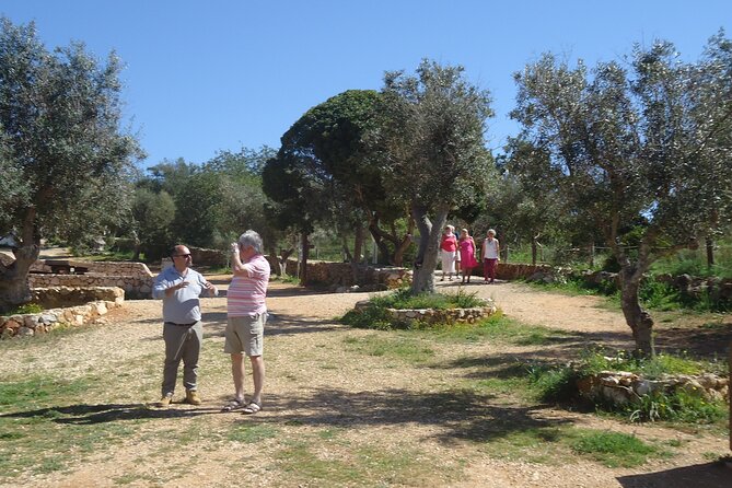 Algarve Private Tour With Typical Lunch - Scenic Stops