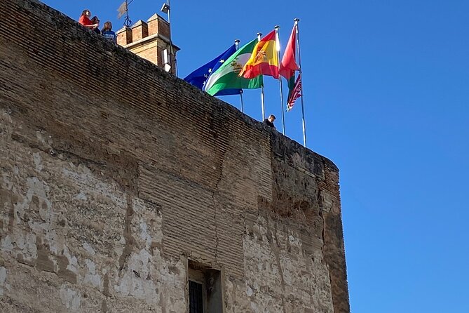 Alhambra Private Tour From Port of Motril Review - Accessibility and Mobility