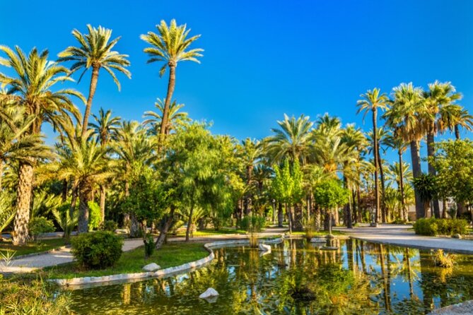 Alicante: Calas & Beaches Snorkeling With E - Bikes - Obtaining Assistance and Information